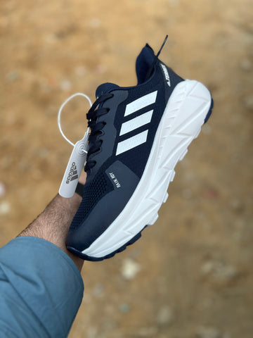 AD Terrex COLD RDY - Blue